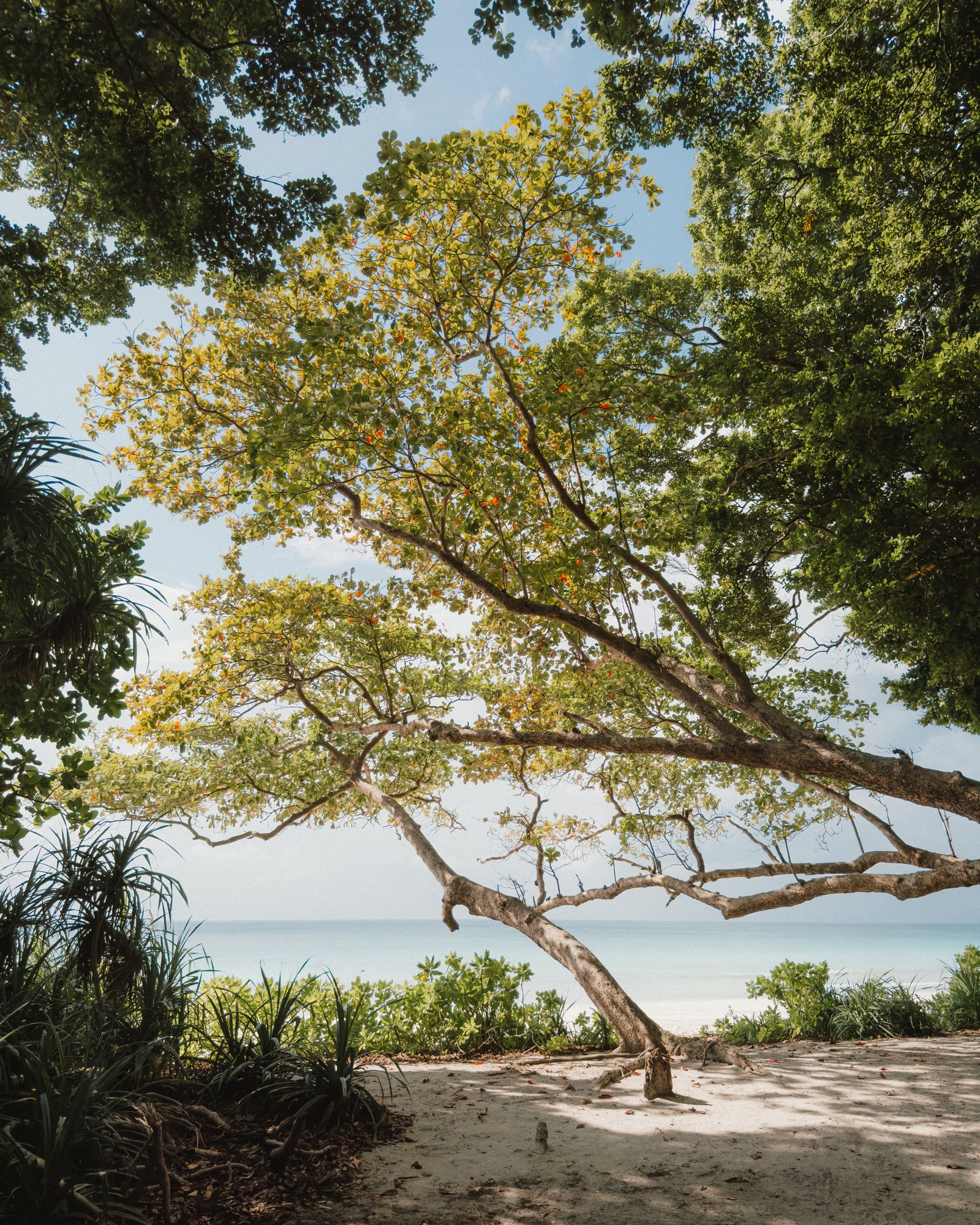 Galle Fort lighthouse